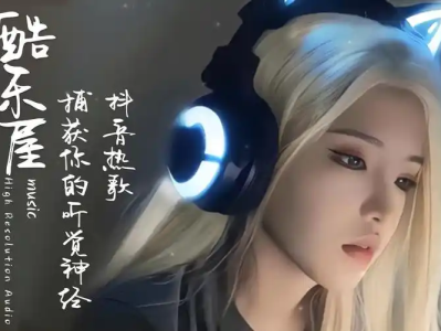 【限时免费分享】（精）正版64G无损歌曲整理，内含经典、怀旧、流行等